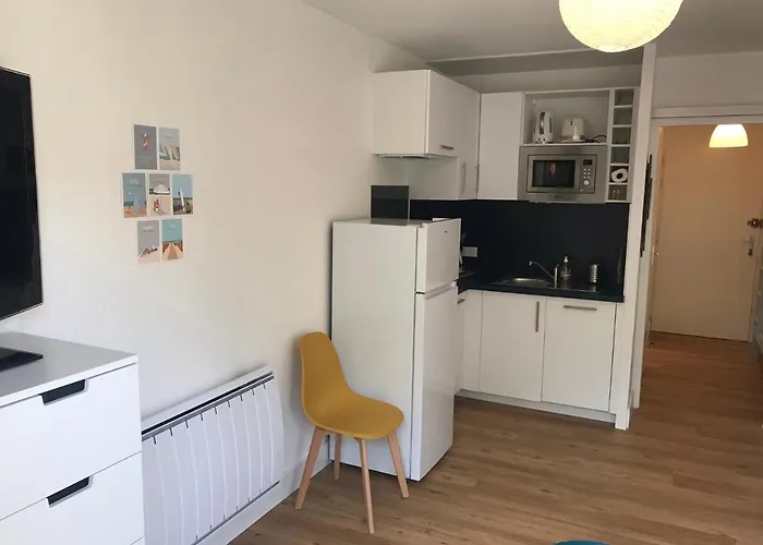 Studio Les Petrels Avec Terrasse Et Jardinet A 2 Pas De La Plage